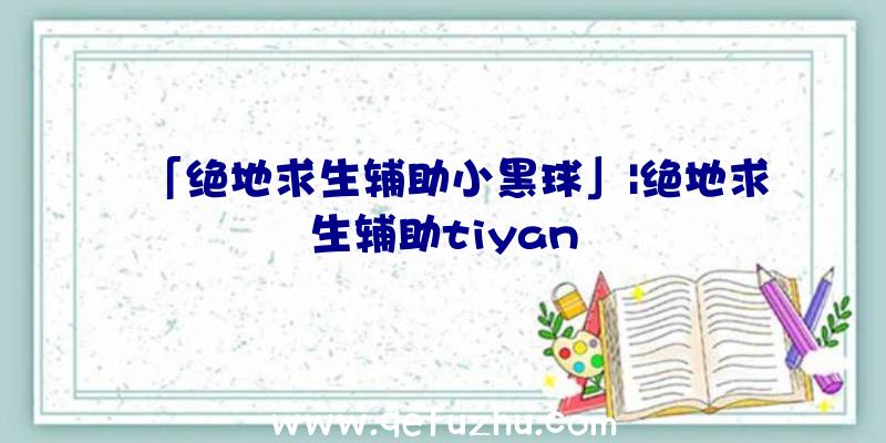 「绝地求生辅助小黑球」|绝地求生辅助tiyan